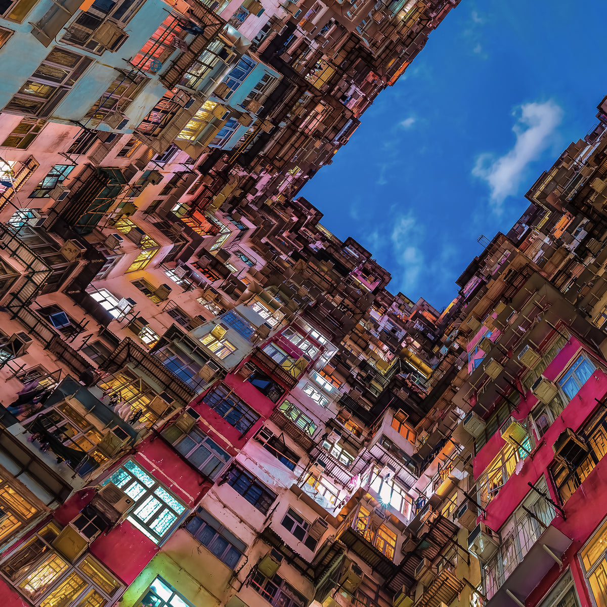 canvas-print-look-up-x