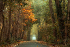 aluminium-print-country-road-x