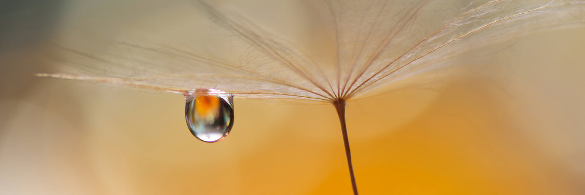 panoramic-3-piece-canvas-print-little-night-music-panorama