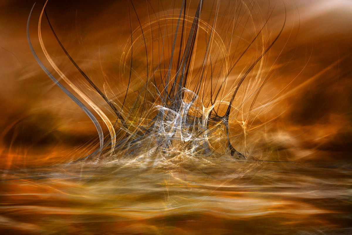 framedcanvas-print-the-rising-x