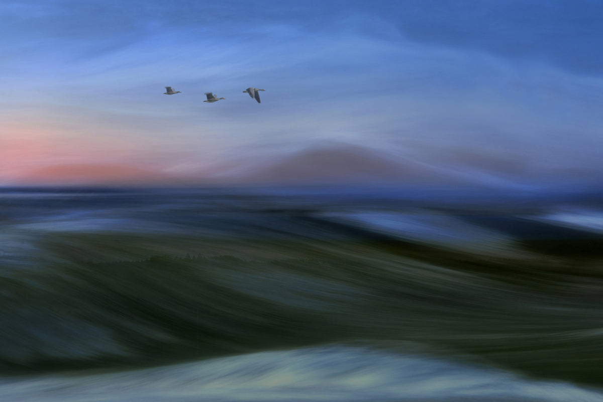 canvas-print-migrants-x