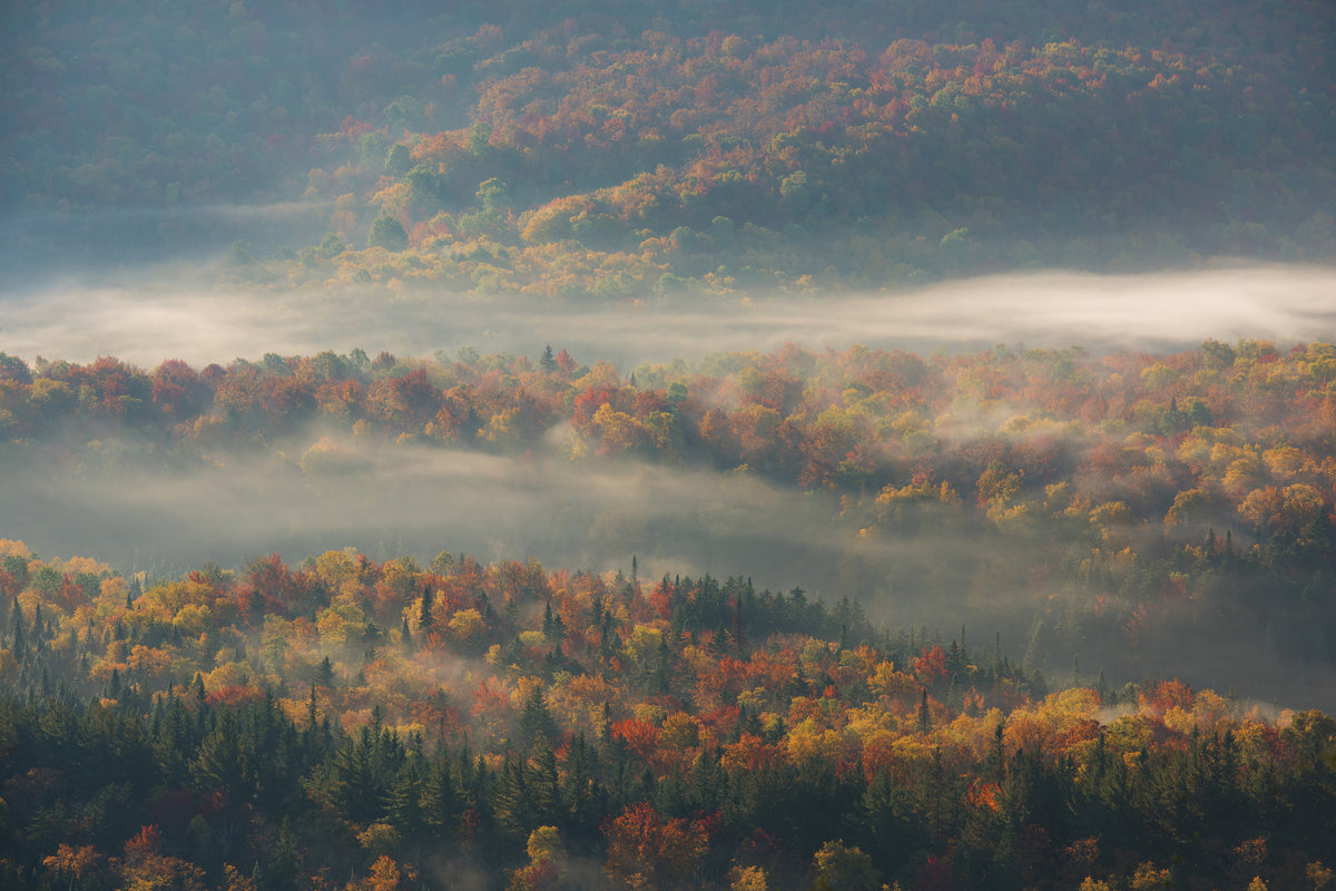aluminium-print-misty-morning-ii-a