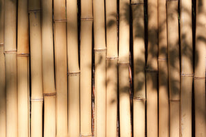 3-piece-acrylic-print-natural-bamboo