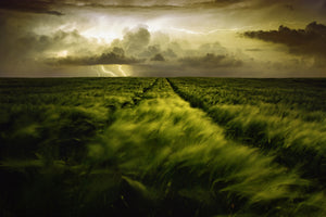 modern-3-piece-canvas-print-journey-to-the-fierce-storm