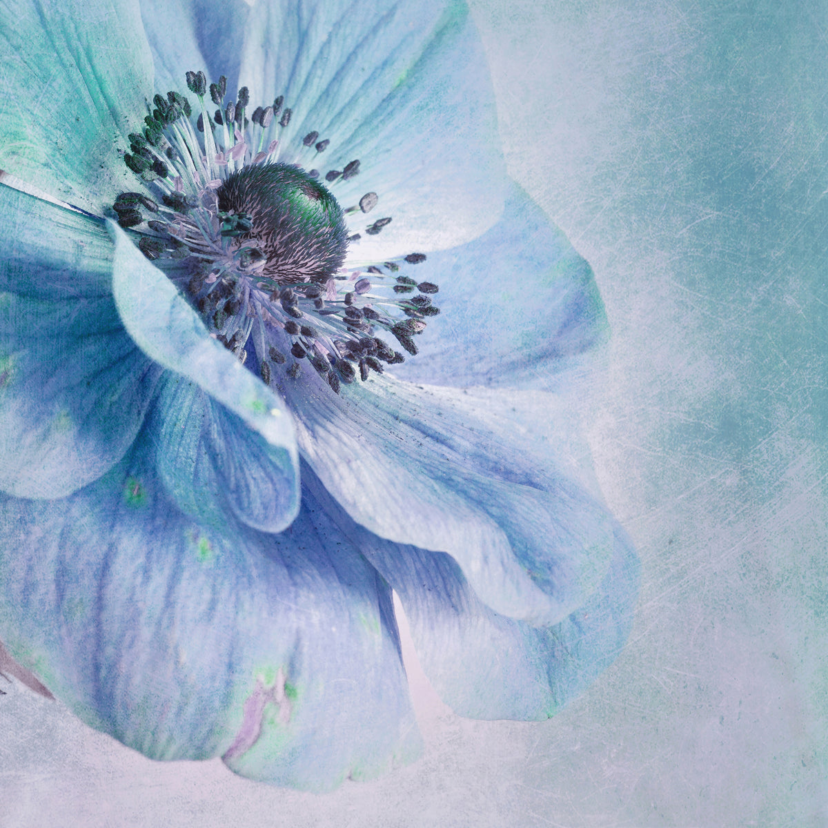 canvas-print-shades-of-blue-x