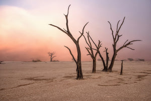 framedposter-print-fog-in-deadvlei