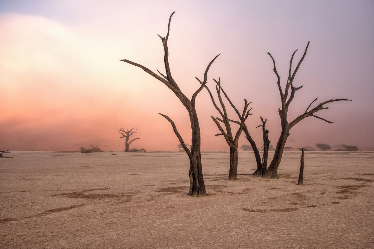 framedposter-print-fog-in-deadvlei