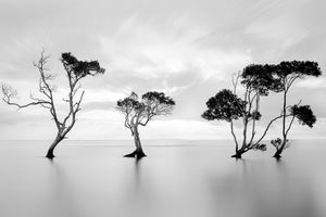 3-piece-aluminium-print-drowning-not-waving
