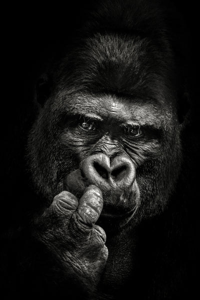 poster-print-attitude-x