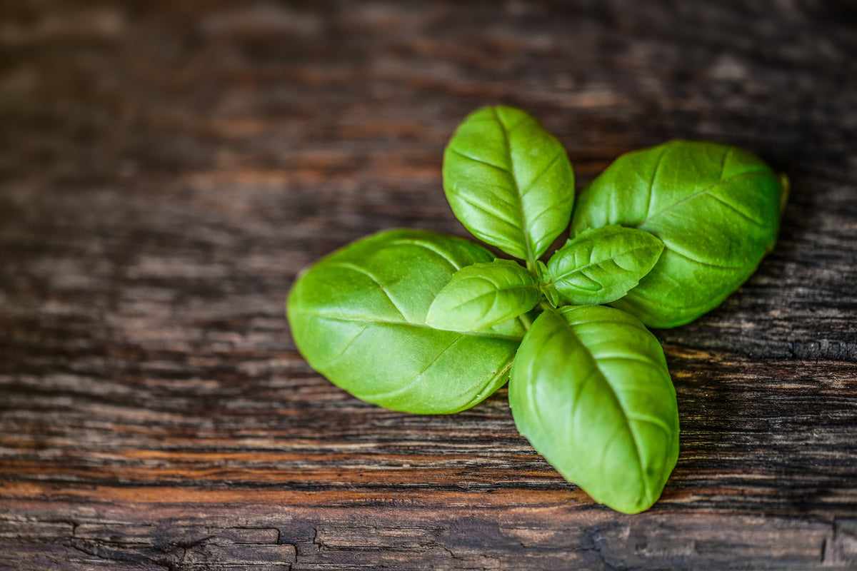 3-piece-aluminium-print-basil-leaf-in-xxl
