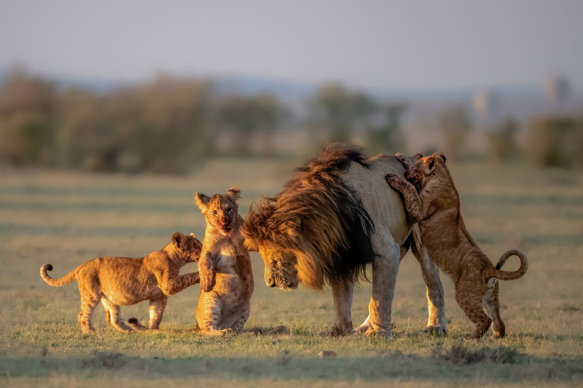 acrylic-print-dad-and-kids-x