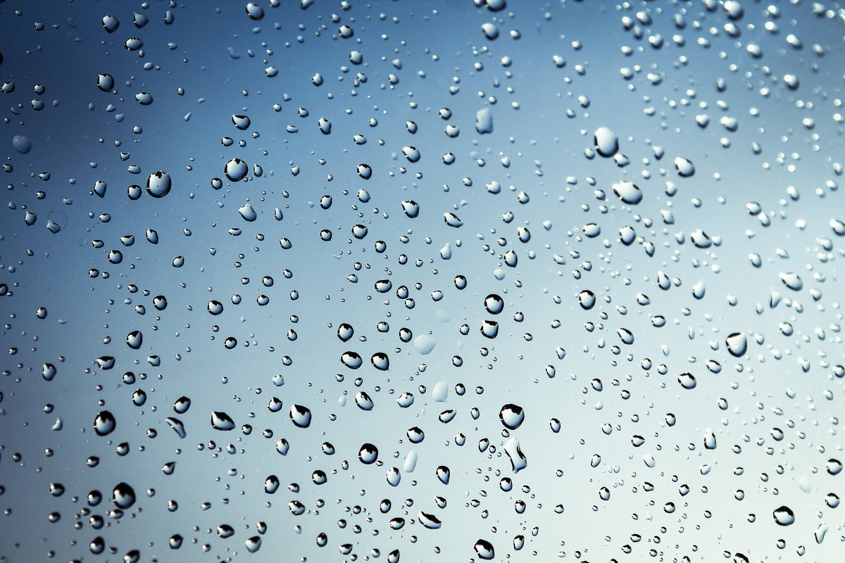 poster-print-a-wall-of-rain
