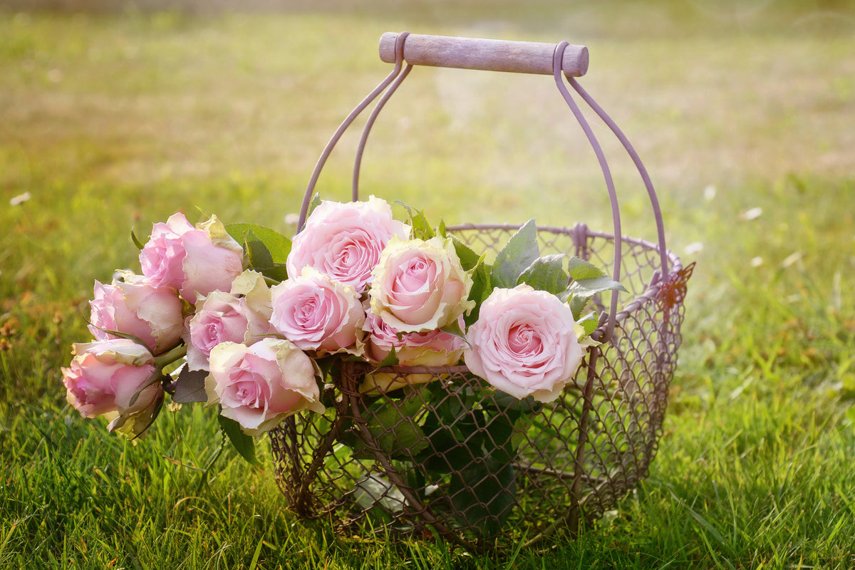 modern-3-piece-aluminium-print-a-basket-full-of-roses