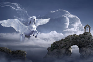 framedcanvas-print-pegasus