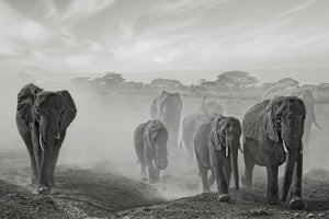 modern-3-piece-aluminium-print-sequence-of-emotion