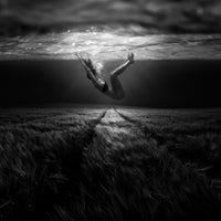 aluminium-print-underwaterlandream