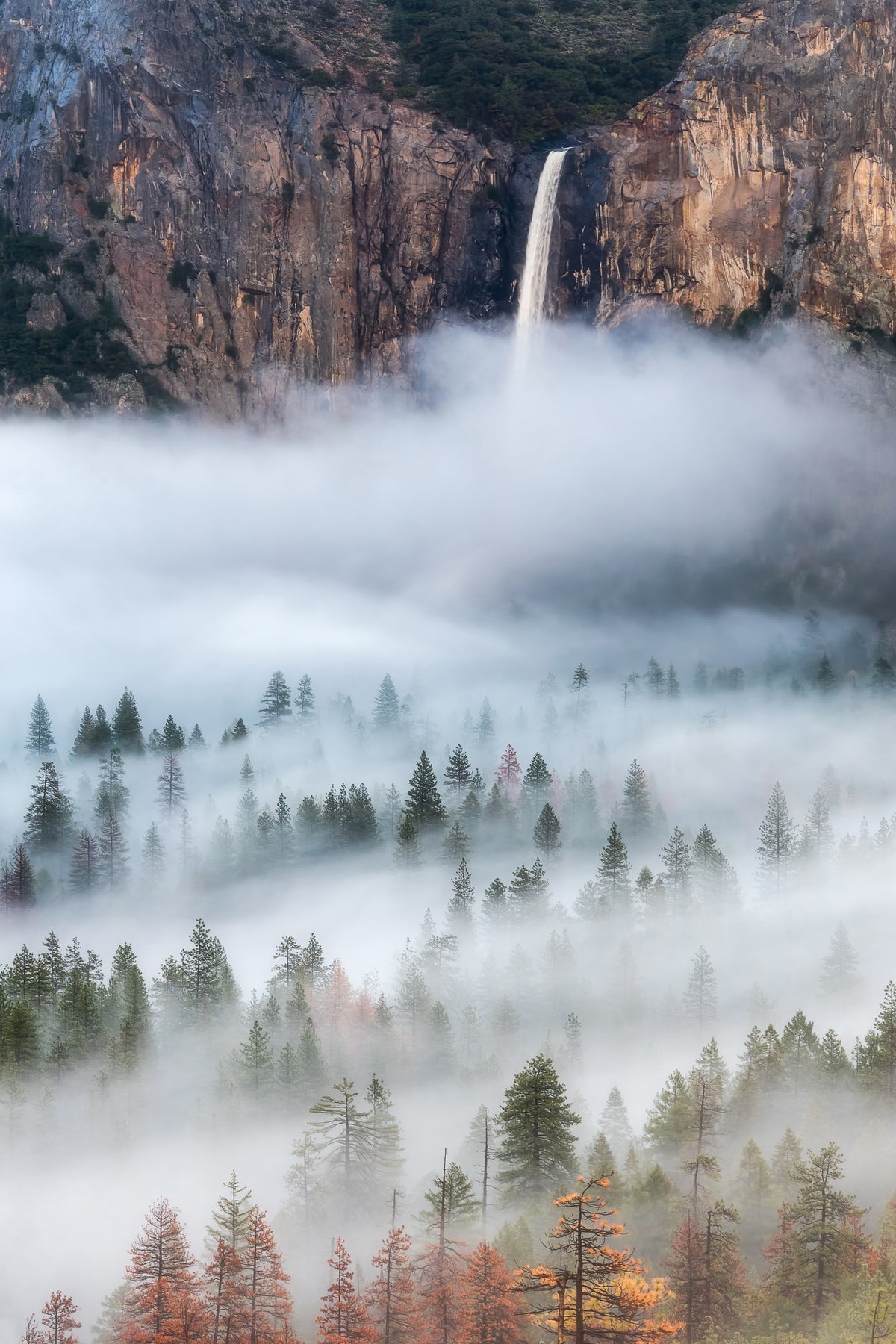 framedposter-print-mist-falls