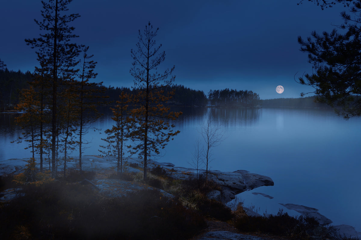 canvas-print-night-mist-x