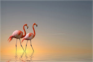 poster-print-serenity-ii