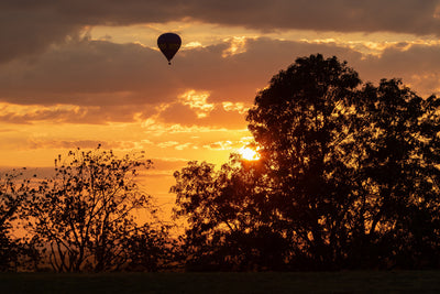 poster-print-gentle-flight-over-the-landscape