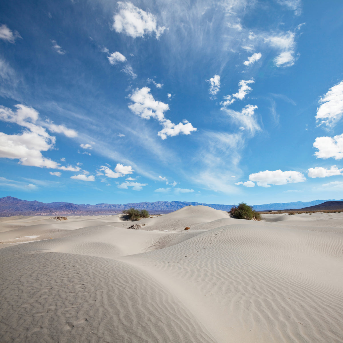 4-piece-acrylic-print-desert-landscape