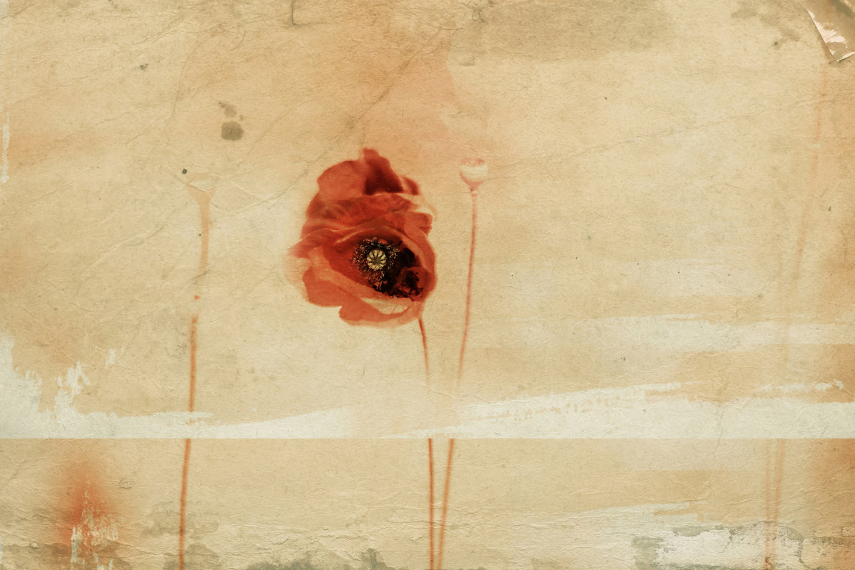 poster-print-fragment