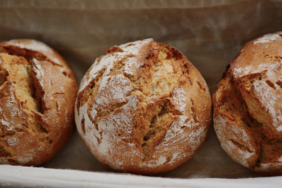 aluminium-print-fresh-rye-bread-rolls