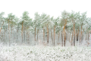 modern-3-piece-canvas-print-snow-world