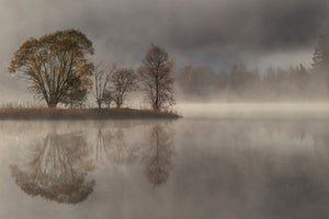 framedposter-print-october-morning