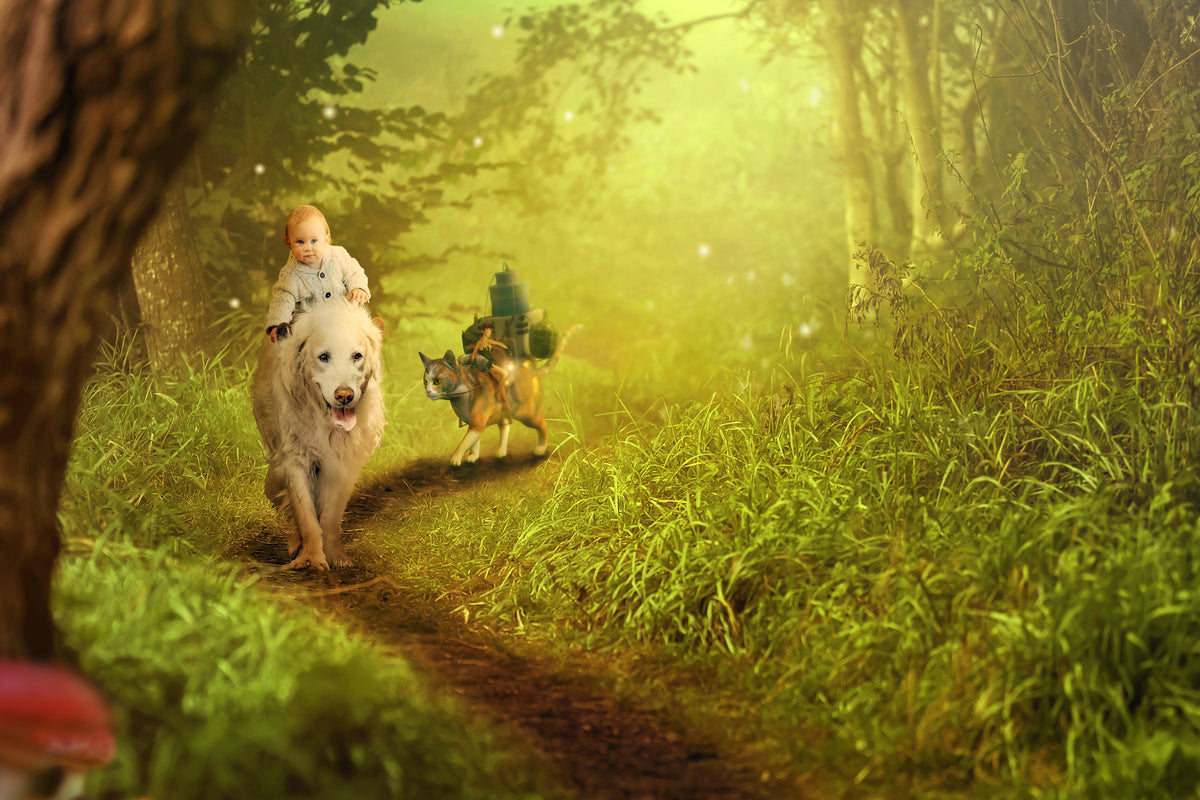 3-piece-canvas-print-forest-excursion