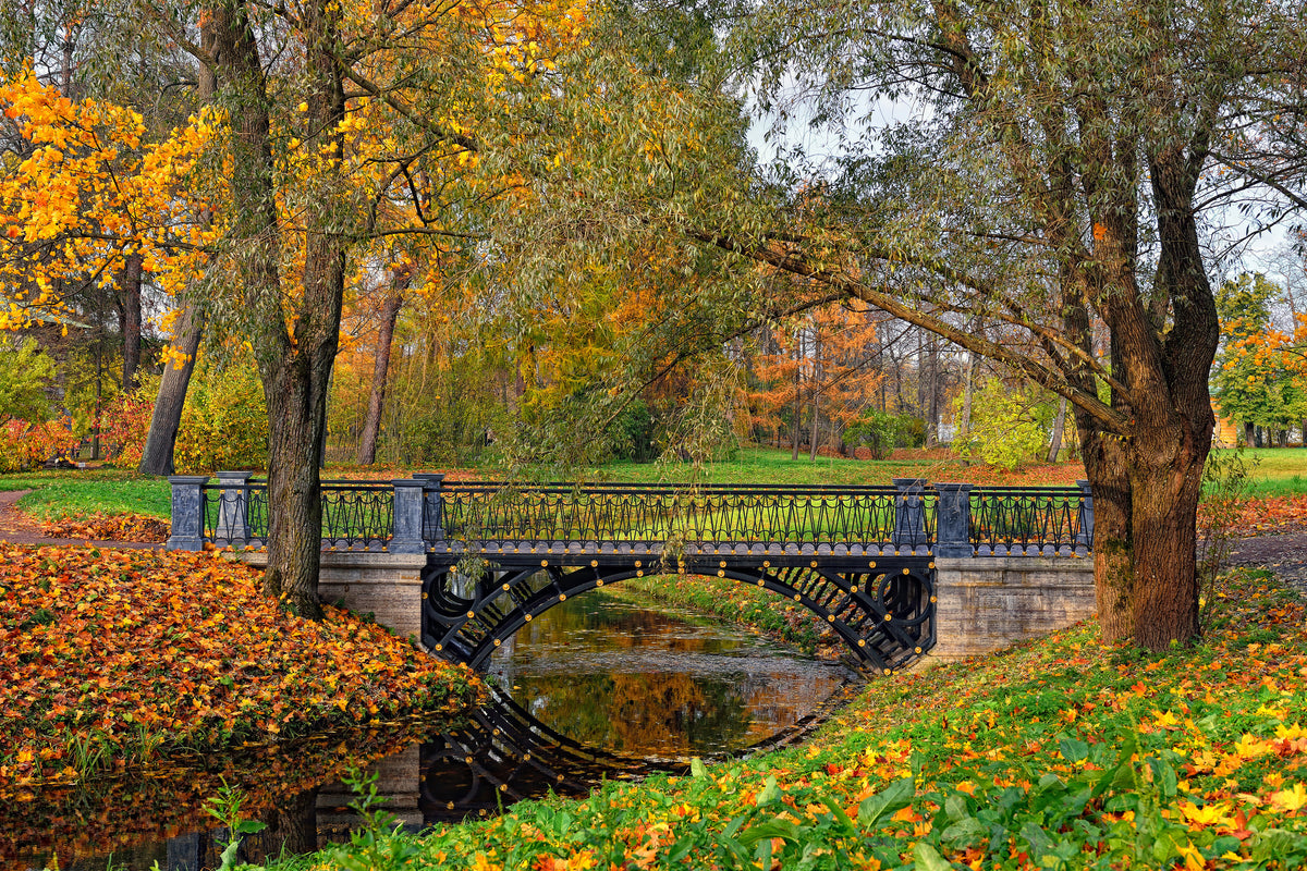 3-piece-acrylic-print-romantic-park