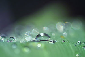 poster-print-drops-of-water-in-xxl