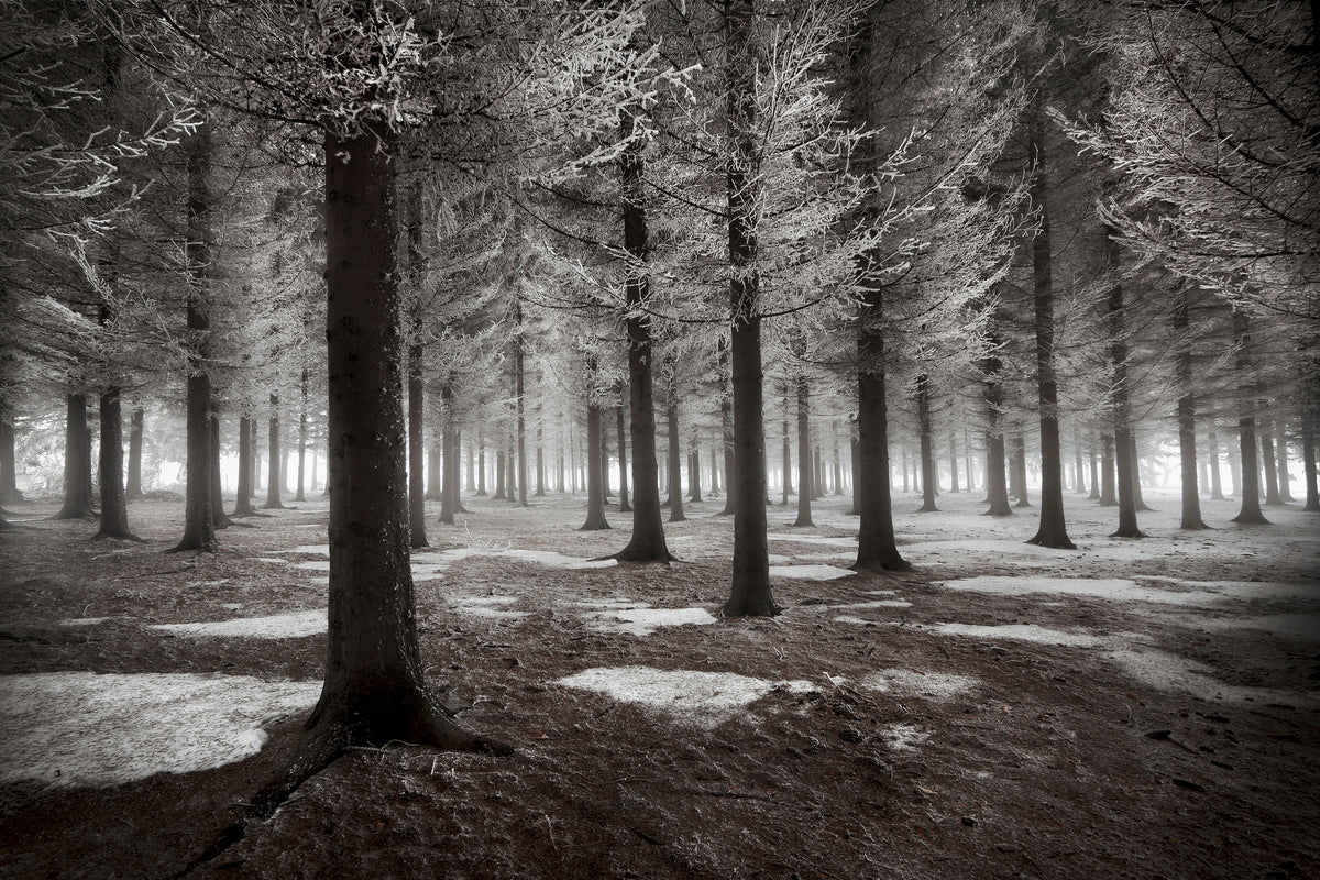 framedposter-print-the-onset-of-winter