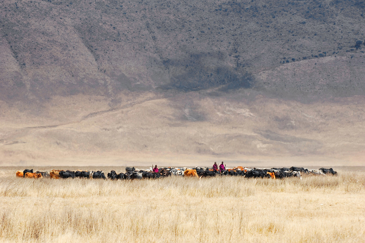 poster-print-incredible-maasai