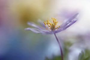3-piece-canvas-print-springtime-watercolor