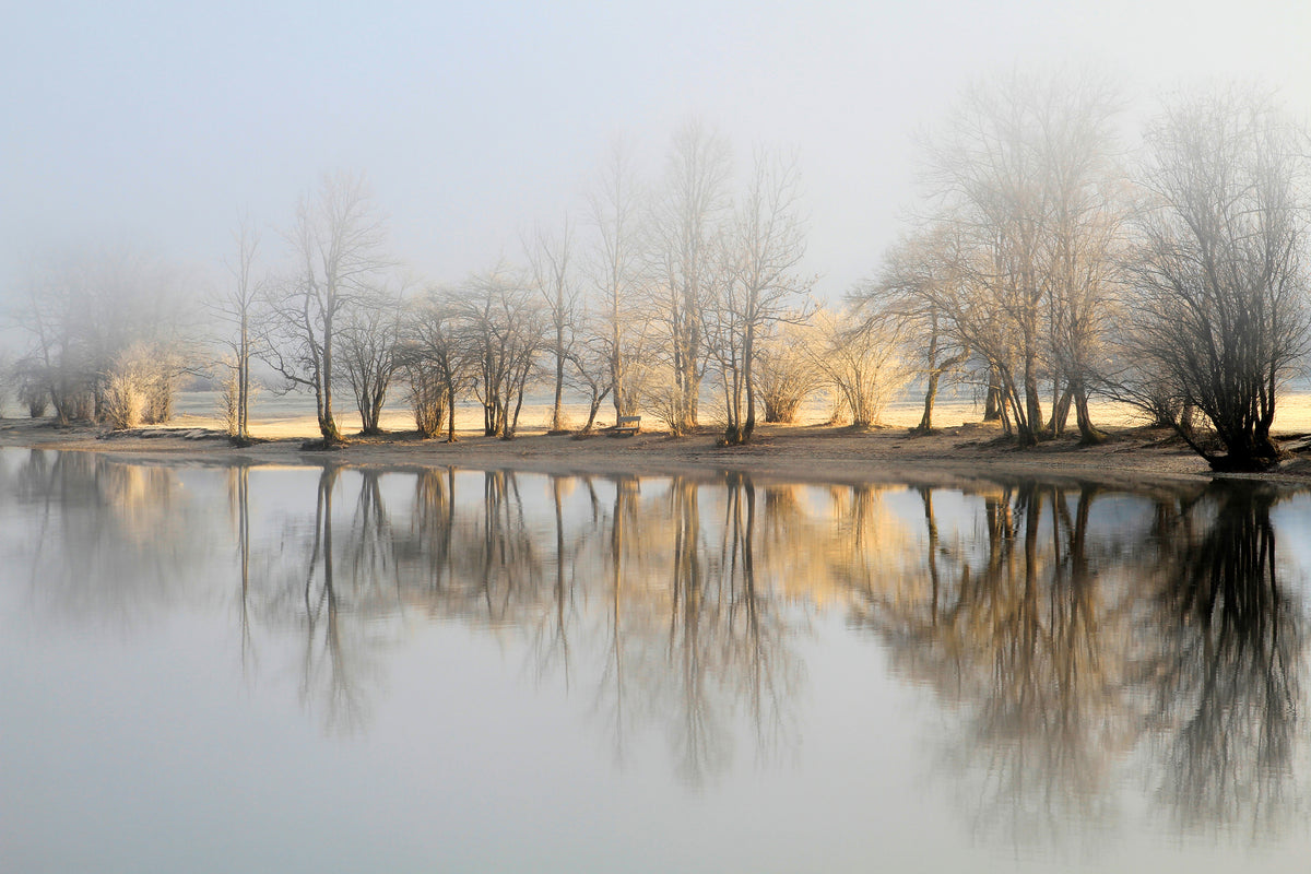 modern-3-piece-canvas-print-january-morning