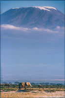 poster-print-kilimanjaro-and-the-quiet-sentinels