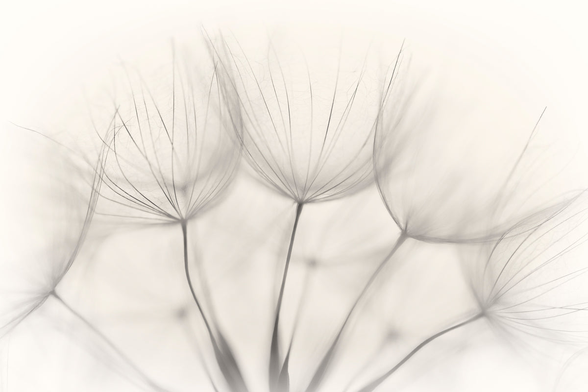 3-piece-canvas-print-no-title