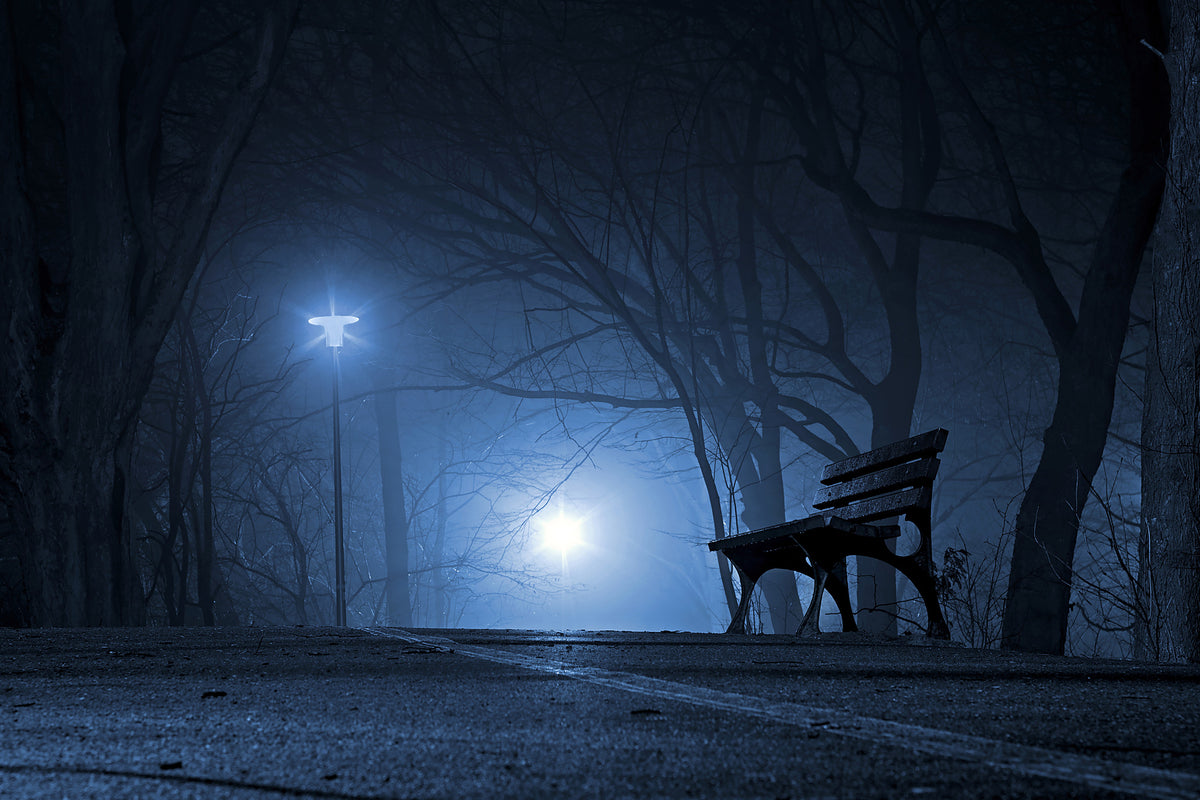 framedcanvas-print-at-night-in-the-park