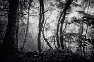 3-piece-canvas-print-mysterious-light