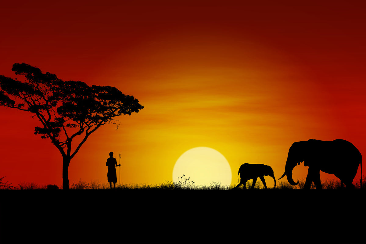 acrylic-print-african-steppe-elephant