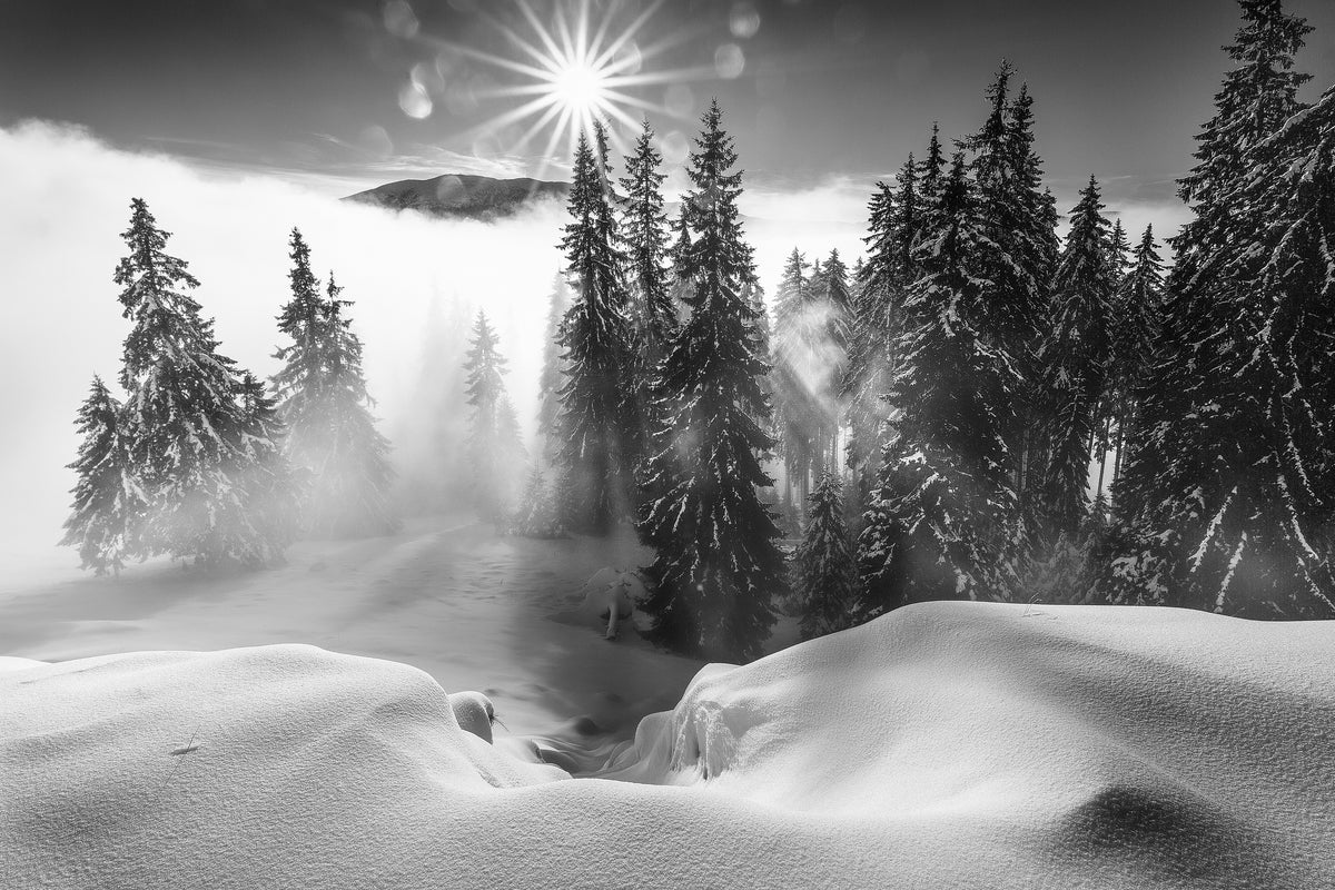 modern-3-piece-canvas-print-a-winter-tale