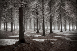 canvas-print-the-onset-of-winter