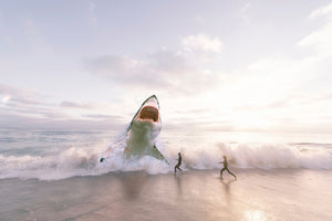 aluminium-print-beware-shark