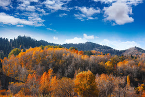 framedposter-print-clouds-gather