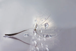 framedposter-print-silver-x