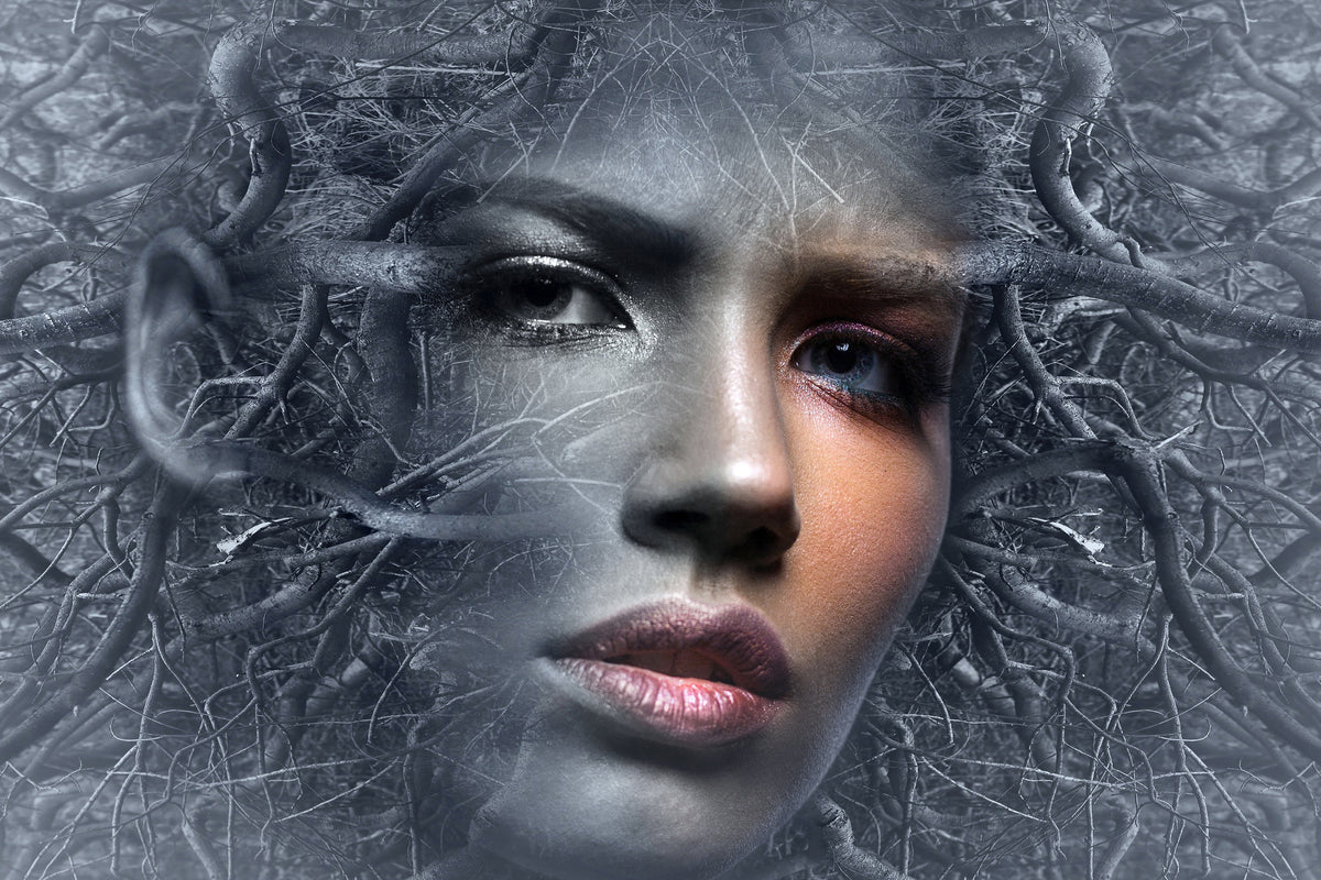 framedcanvas-print-fantasy-face