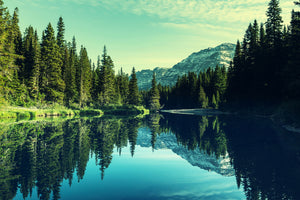 framedposter-print-the-music-of-silence-in-the-mountains