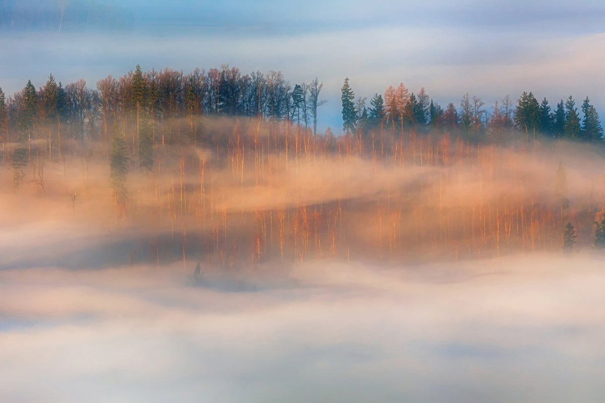 acrylic-print-in-the-morning-mists