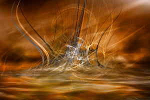 aluminium-print-the-rising-x